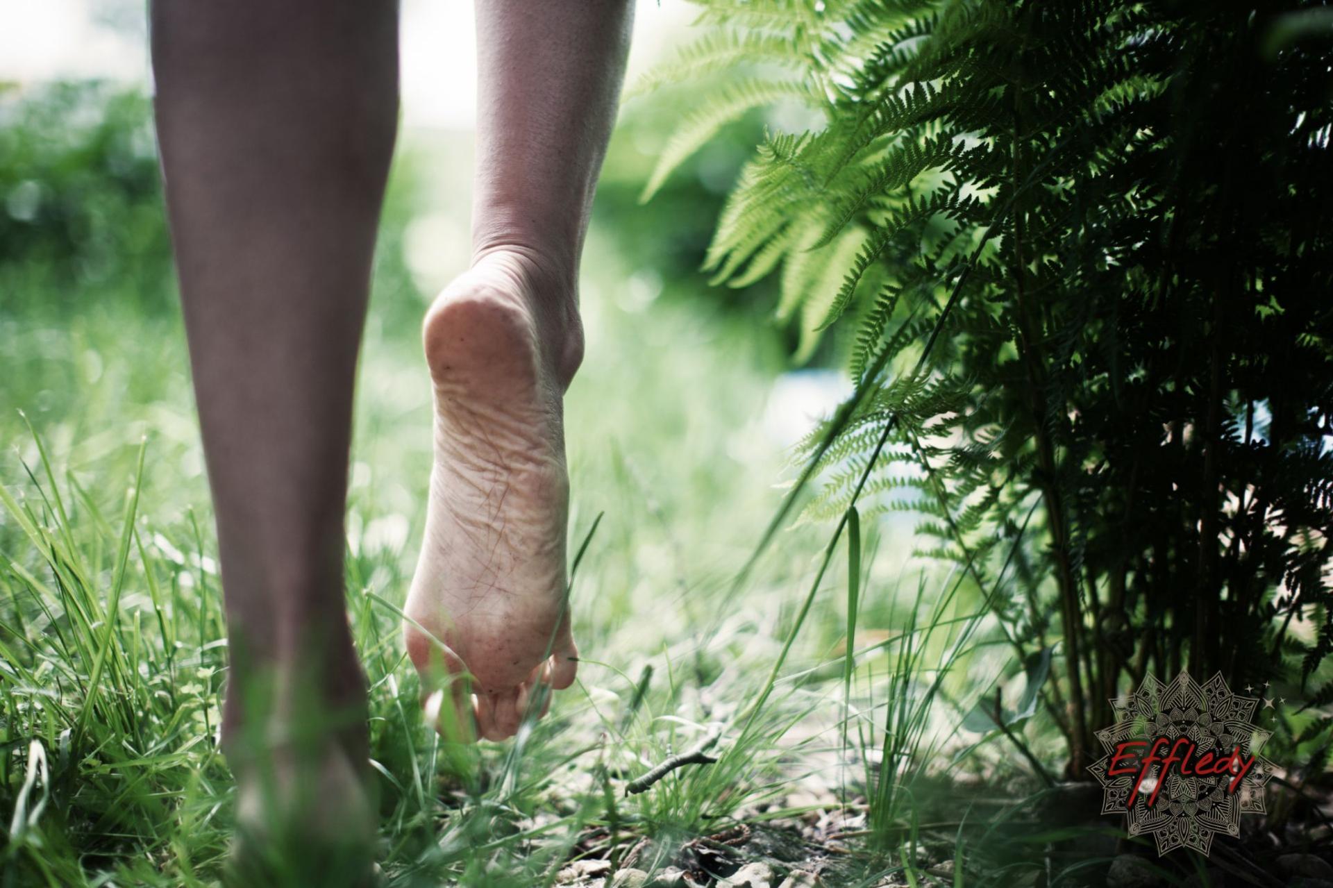 Pieds nus sur la terre sacree